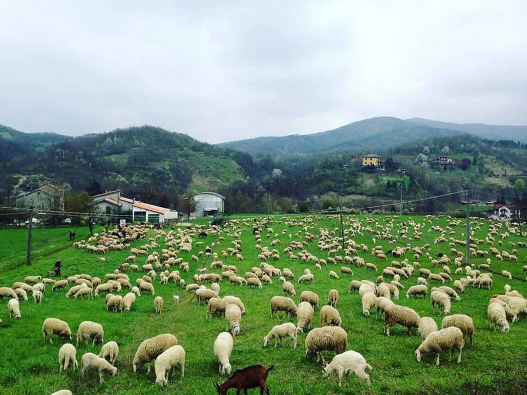 B&B Cascina Santa Гави Экстерьер фото