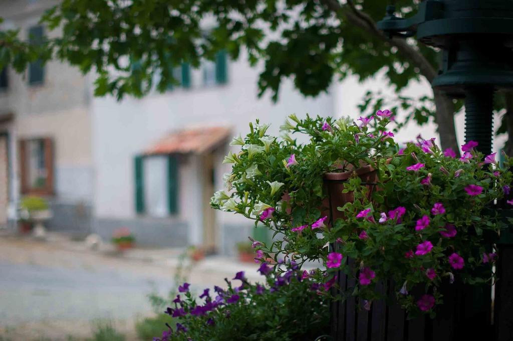 B&B Cascina Santa Гави Экстерьер фото