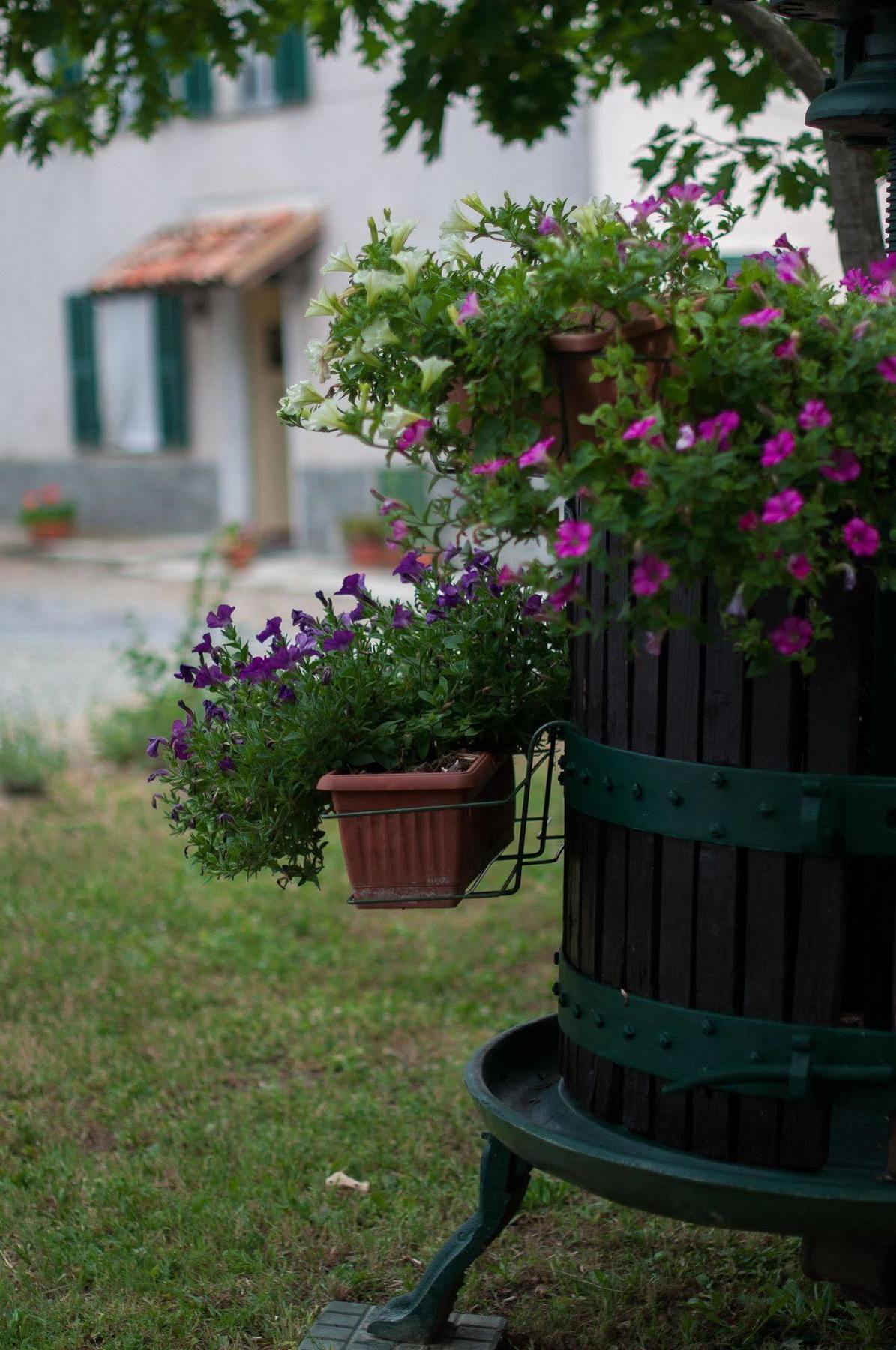 B&B Cascina Santa Гави Экстерьер фото